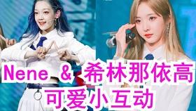 逃离黑白系房屋